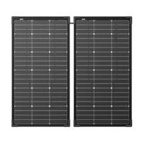 Ecoflow 125W Bifacial Modular Solar Panel Ecolfow