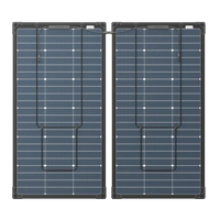 Ecoflow 125W Bifacial Modular Solar Panel Ecolfow
