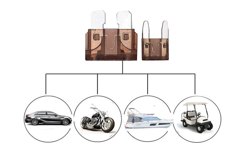 250Pcs Car Fuses Assortment Kit, Blade Fuses Standard & Mini Size FairTools