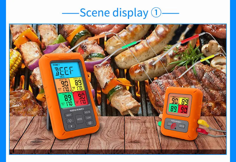 Wireless Remote Digital Meat Thermometer ThermoPro